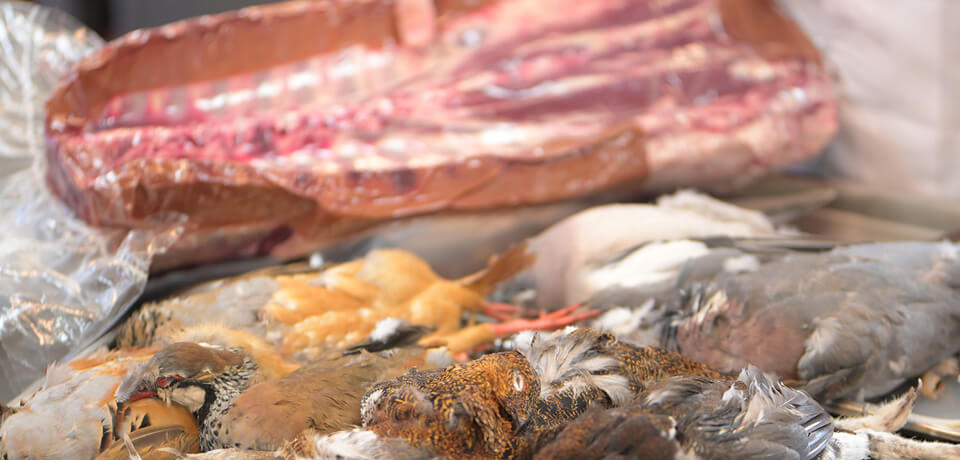 季節のメニュー