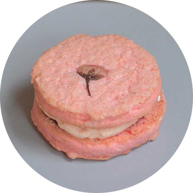 ダックワーズ(さくら)