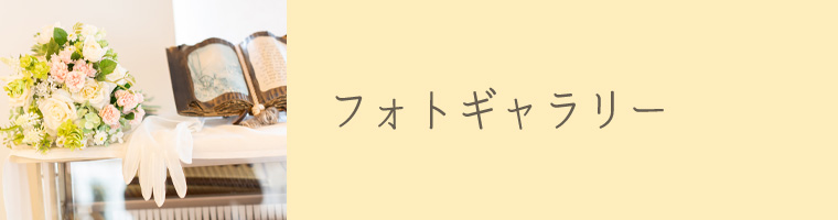 フォトギャラリー